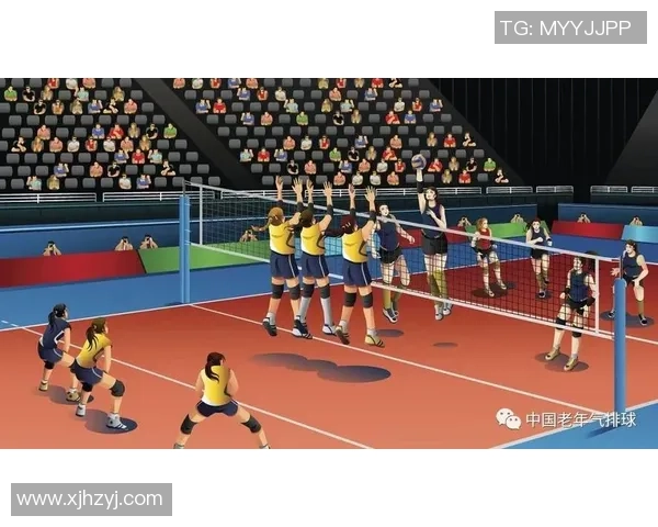 杭州排球队战术解析与发展策略探讨助力竞技水平提升